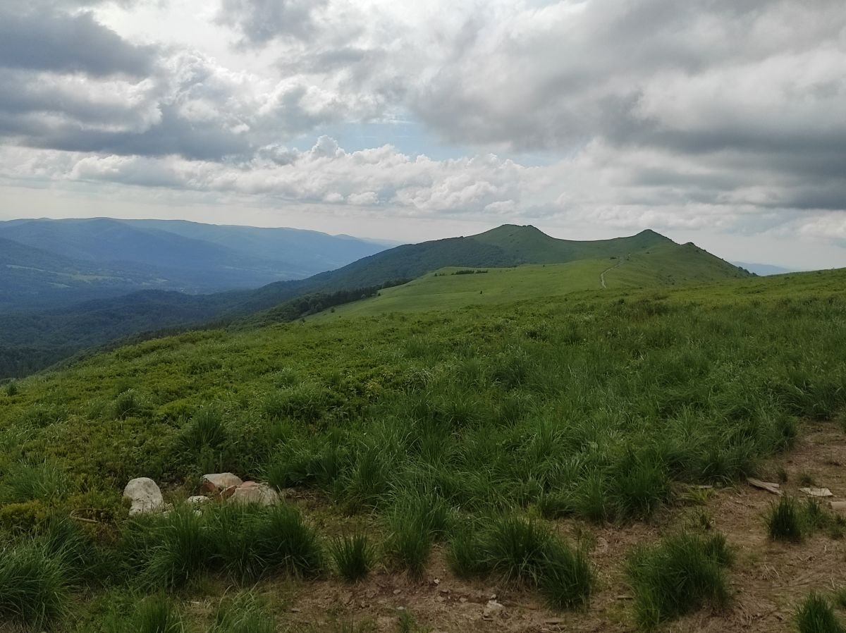 A gdyby tak rzucić wszystko i wyjechać w Bieszczady...