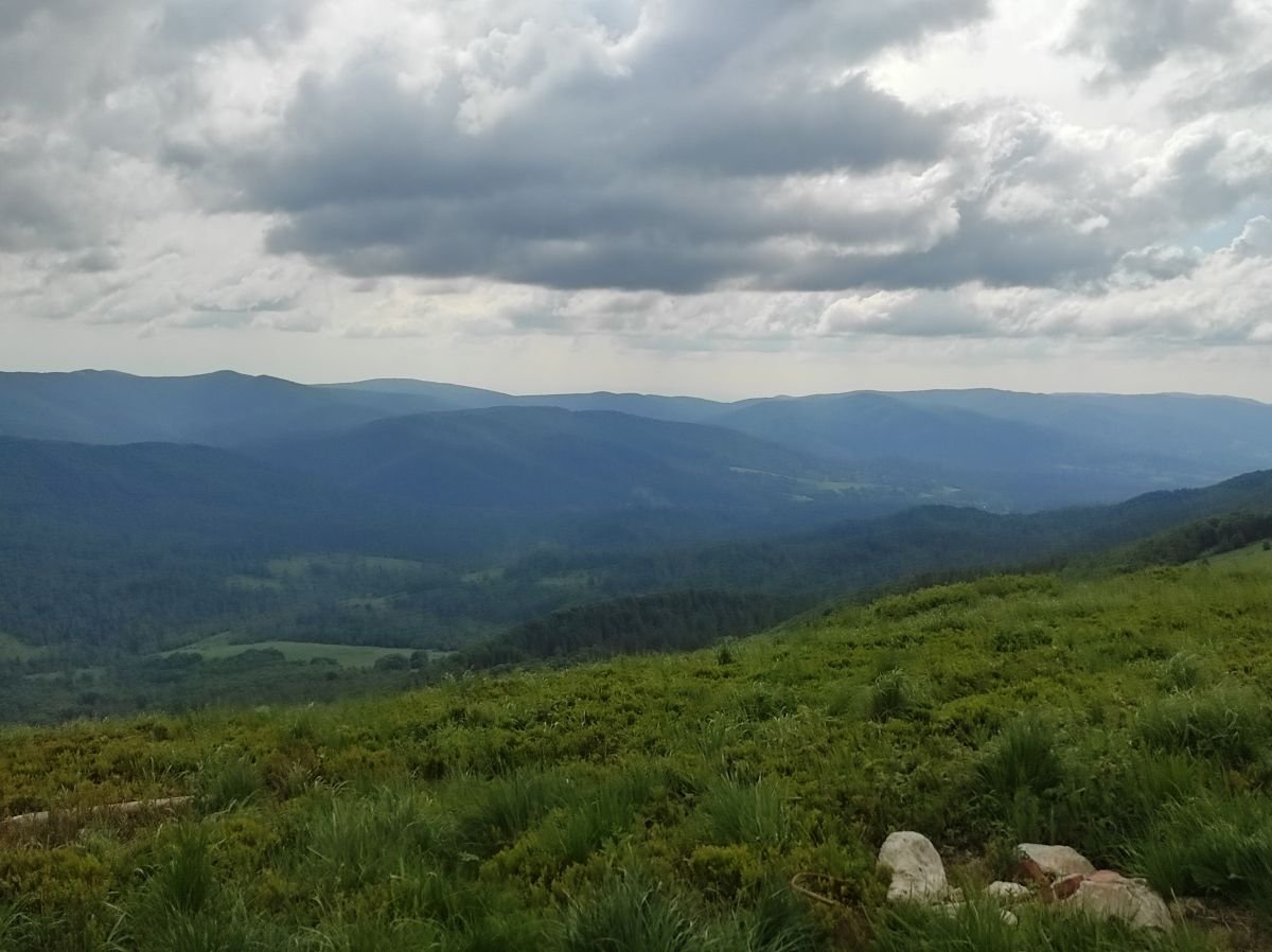 A gdyby tak rzucić wszystko i wyjechać w Bieszczady...